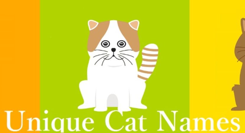 cropped-uniquecatnames14-0n