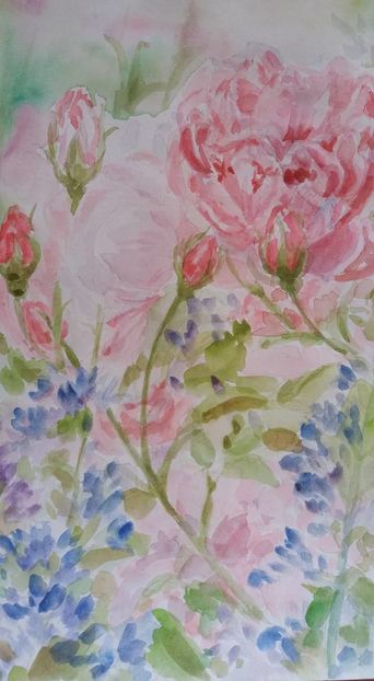 16003027_1401917313176400_4838791155556598133_n