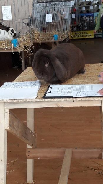 16111220_1884263018529930_1085802817_n