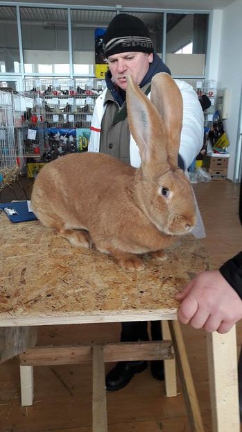 16111529_1884262545196644_679802306_n