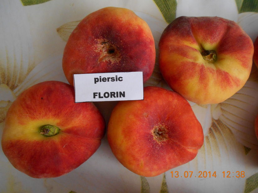  - piersic FLORIN --------- plat