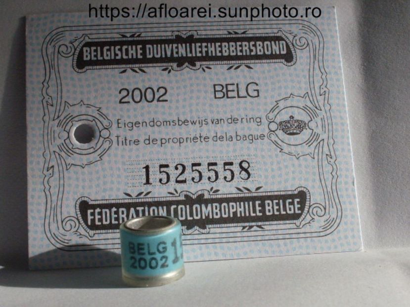 BELG 2002 - BELGIA-BELG