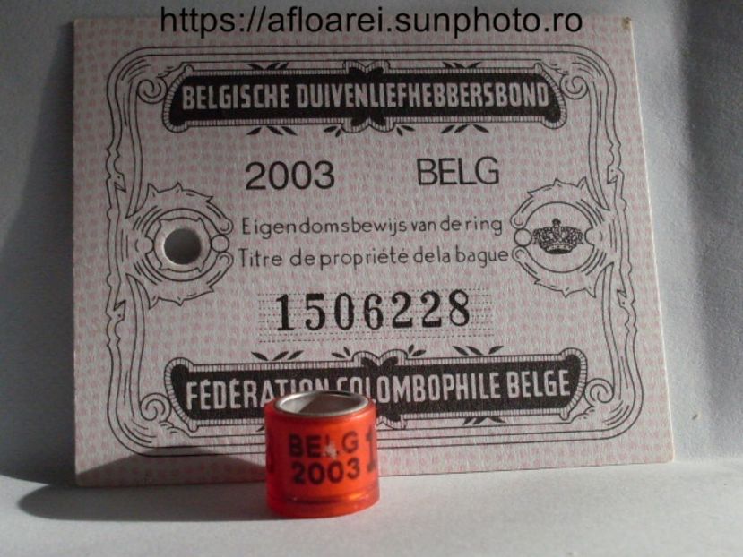 BELG 2003 - BELGIA-BELG