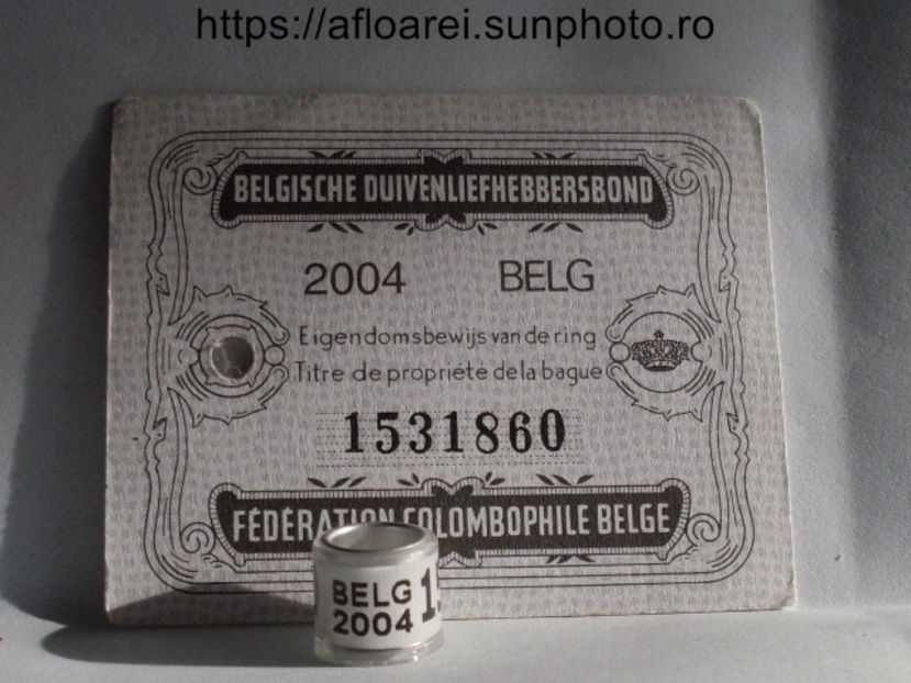 BELG 2004 - BELGIA-BELG