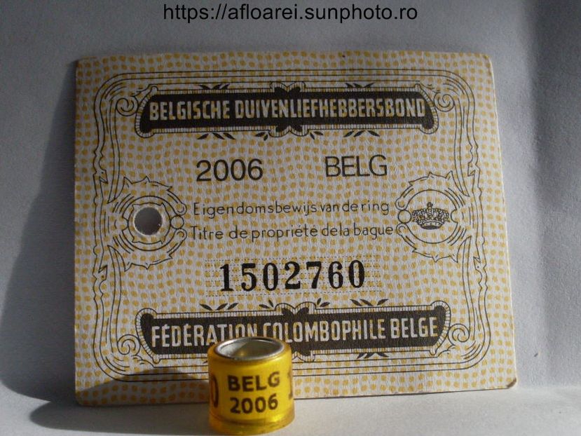 BELG 2006 - BELGIA-BELG