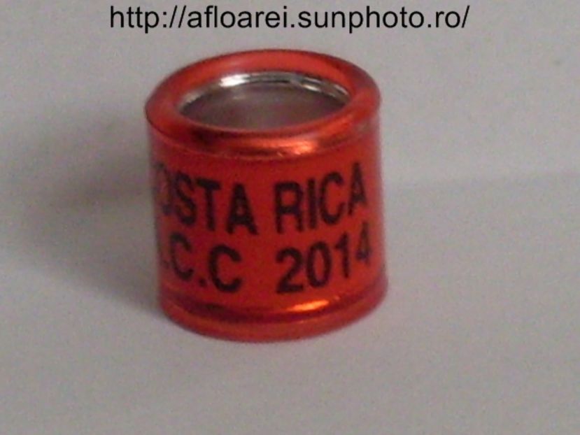 costa rica acc 2014 - COSTA RICA