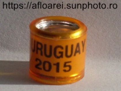 URUGUAY 2015 - URUGUAY