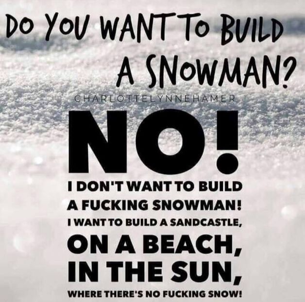 image - the girl who sold the world