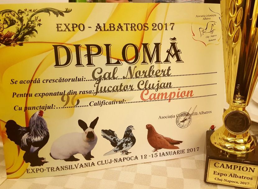 Expo-Albatros 2017 - Rezultate 2016-20xx