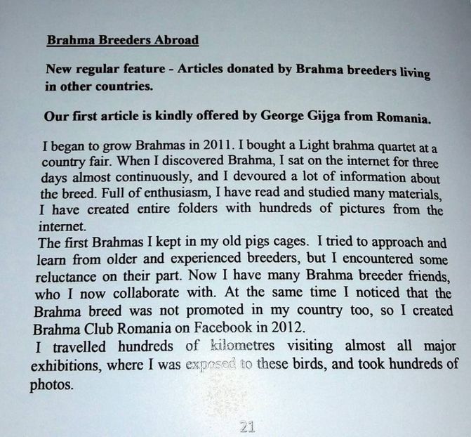  - Brahma Club of Great Britain