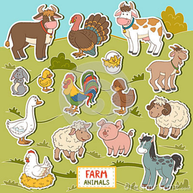 colorful-set-cute-farm-animals-objects-vector-stickers-domestic-59012204