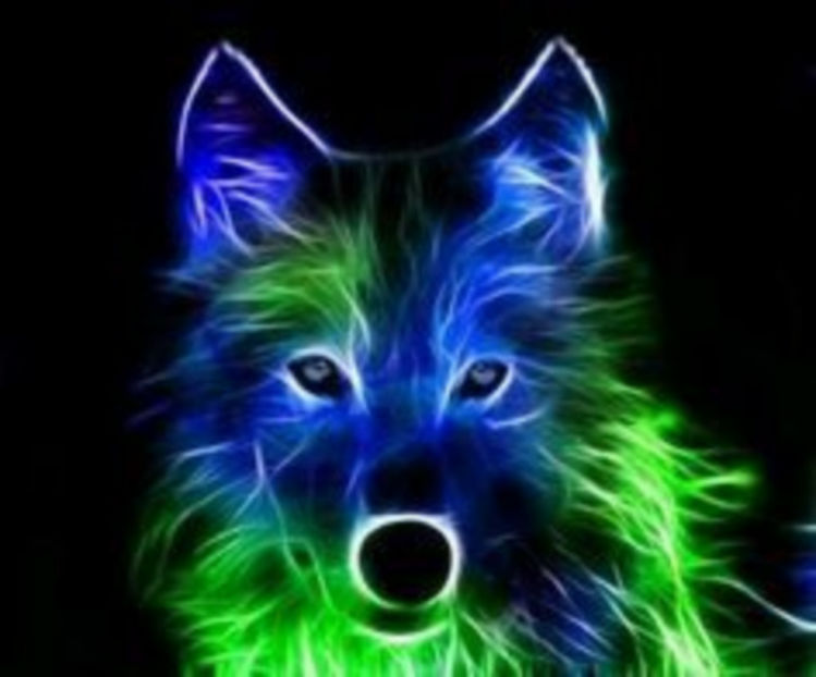384846d39893f73a229fa1810e59c2a6