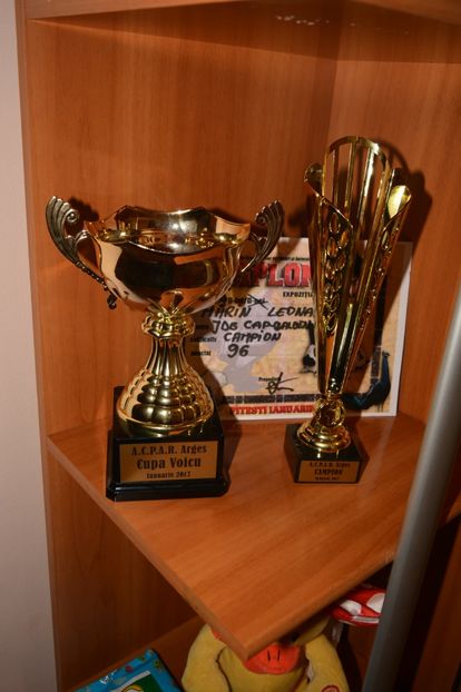 Expozitie Pitesti 13-15 Ianuarie 2017