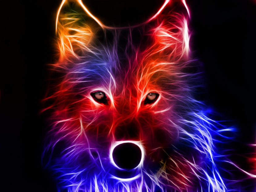 Wolf-Art-darkcruz360-34501147-2048-1536 - Animale desenate