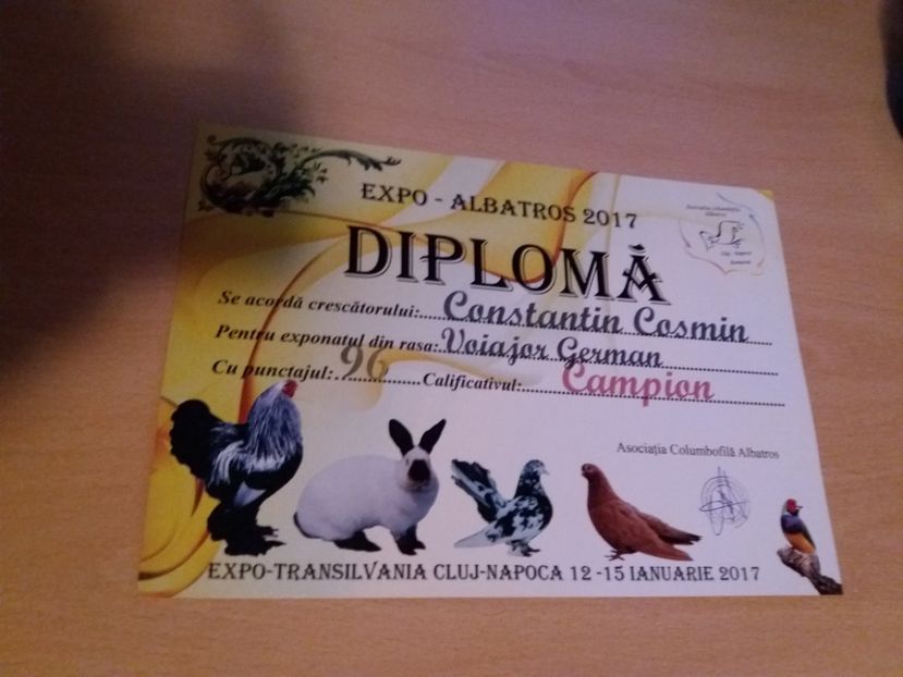  - Cupe si diplome