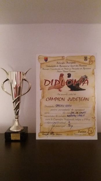 2013 - CAMPION JUDETEAN 2013 CRAIOVA