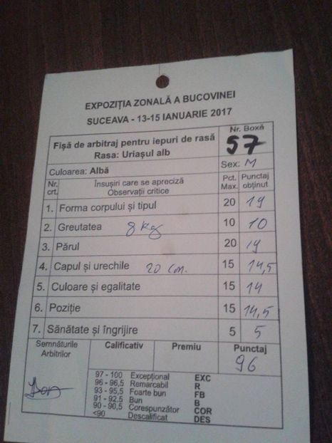 16128933_1750096645308831_1603878768_n