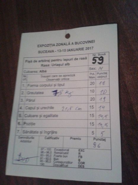 16144196_1750096631975499_305557650_n