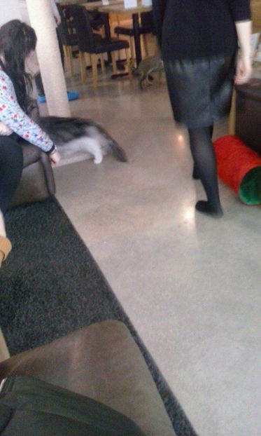 15740904_1416912338321225_2814763679068564993_n