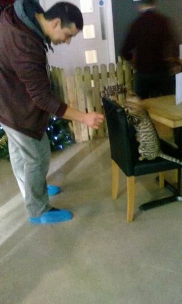 15747428_1416913248321134_4632545263992086703_n