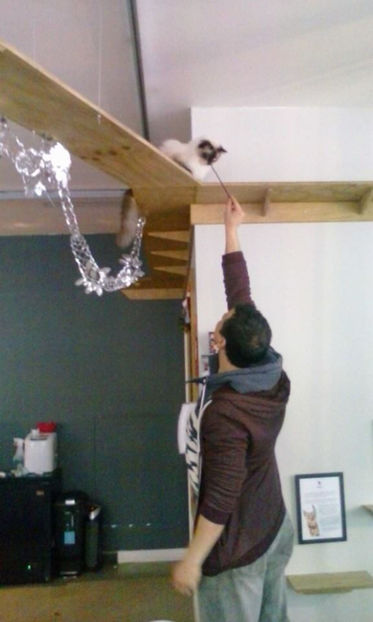 15781317_1416912878321171_2951833062252277643_n