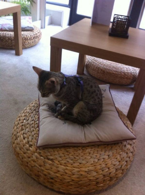 15820376_10211962416802068_640162360_n