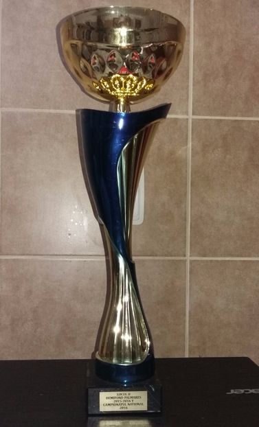 LOC 2 NAT DEM PALM YEAR