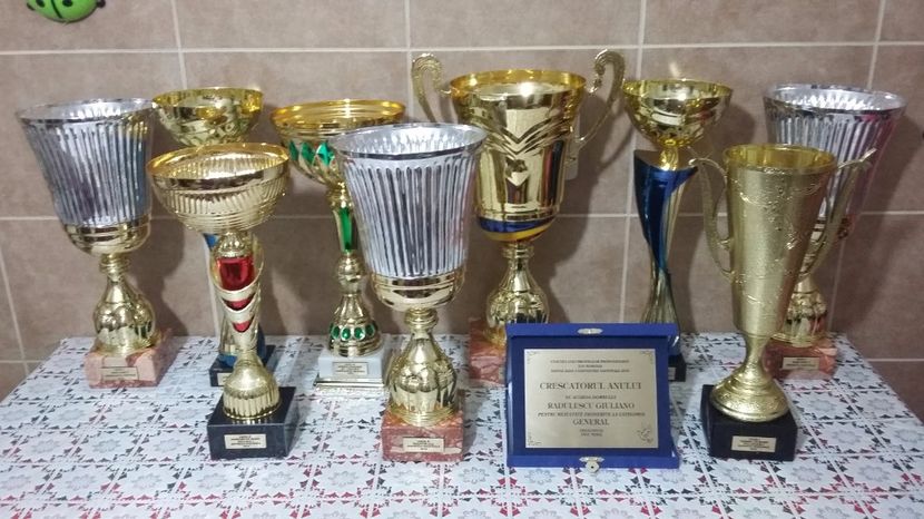 TROFEE CAMP NAT SI EXPO 2016