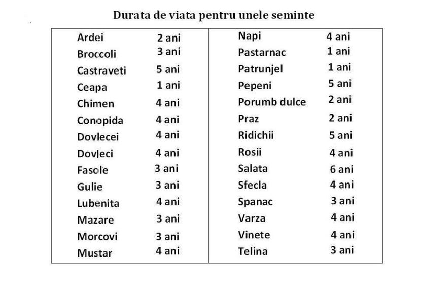 seminte - 0 DE RETINUT