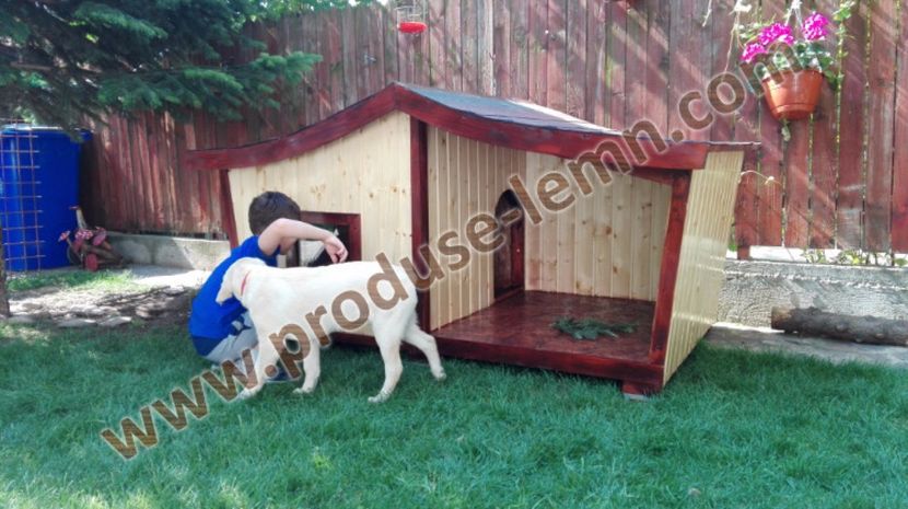 cusca cotet caine din lemn izolat termic (21) - 951Casuta din povesti cu terasa