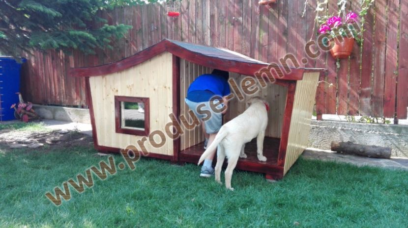 cusca cotet caine din lemn izolat termic (22)