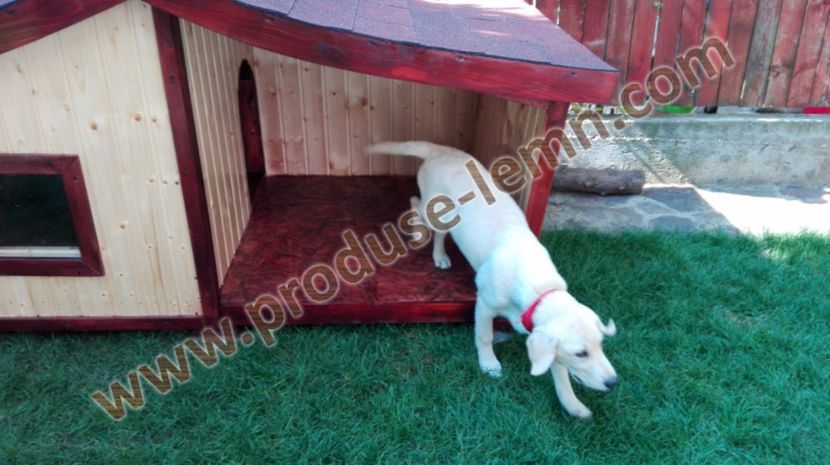 cusca cotet caine din lemn izolat termic (30)