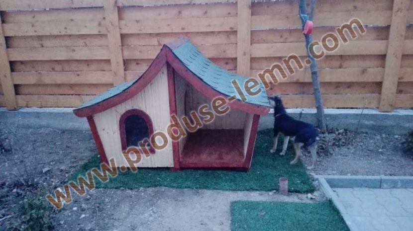 cusca cotet caine din lemn izolat termic (33) - 951Casuta din povesti cu terasa
