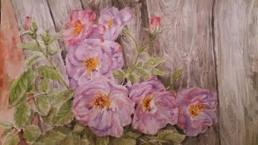 15940579_1397909383577193_6439745844694574583_n (1)