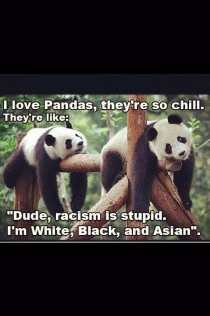 0851e402565b00d0b11fbdd1644d4ed6