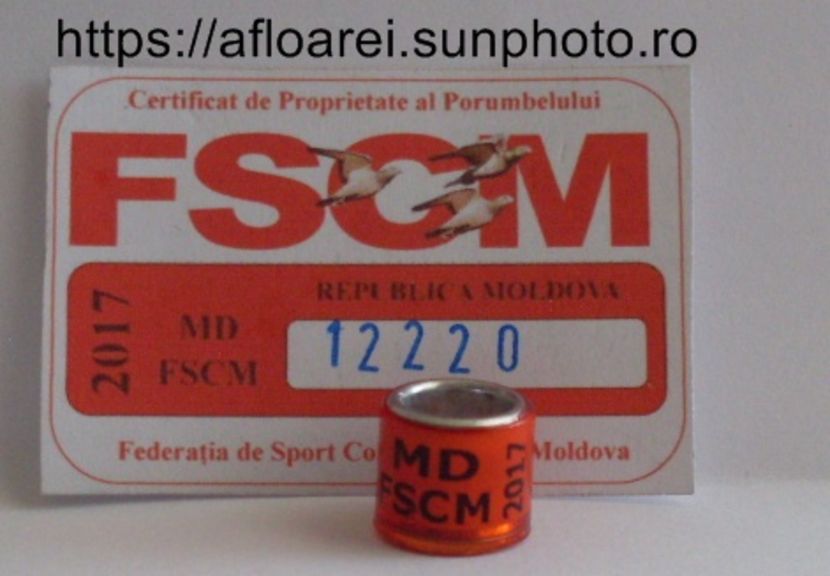 MD FSCM 2017