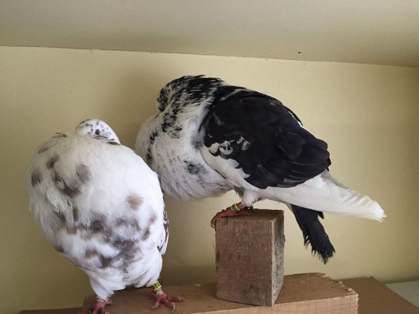 received_751378425035607