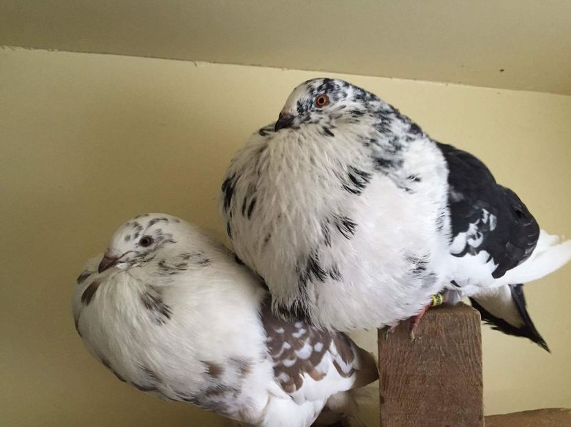 received_751378391702277