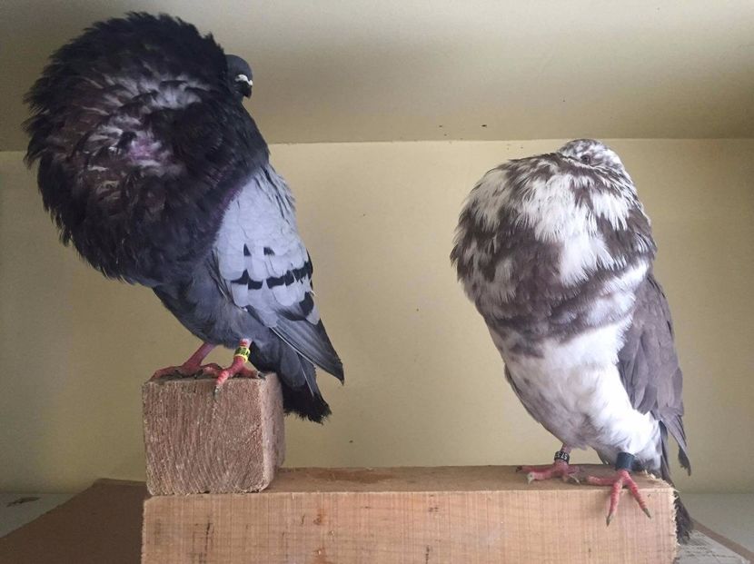 received_751378258368957