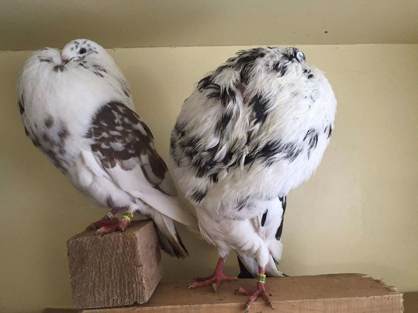 received_751378398368943