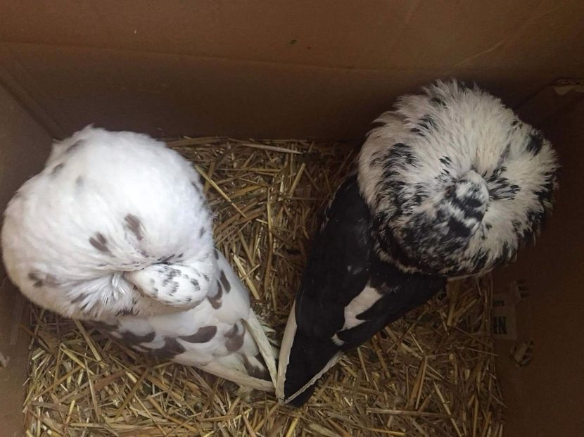 received_751378318368951