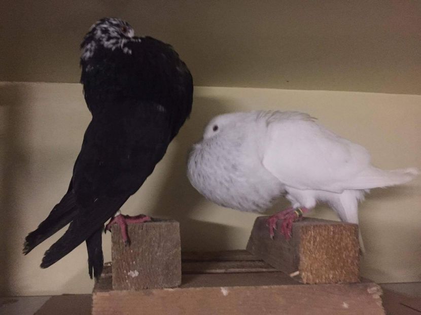 received_751378465035603