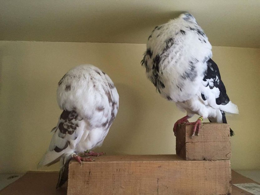 received_751378168368966