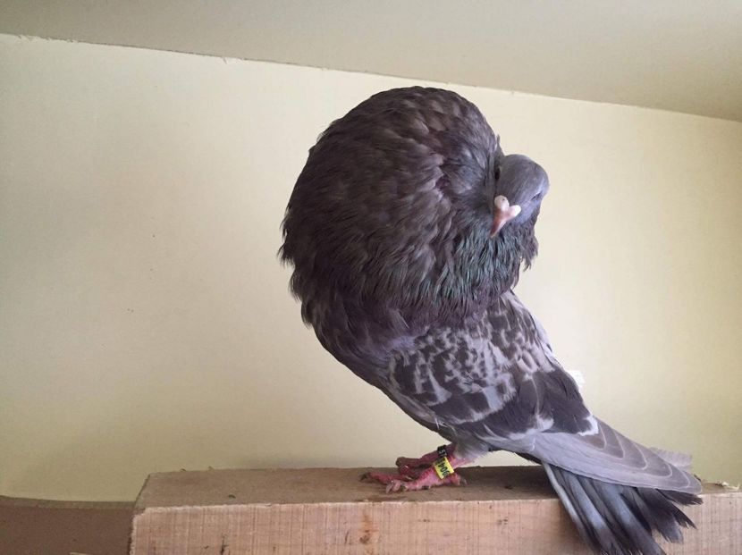 received_751378155035634