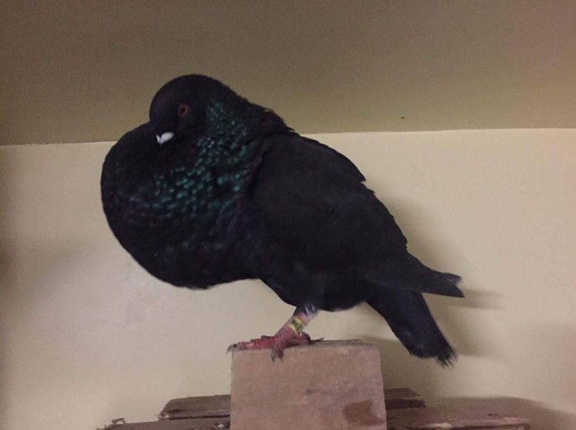 received_751378481702268