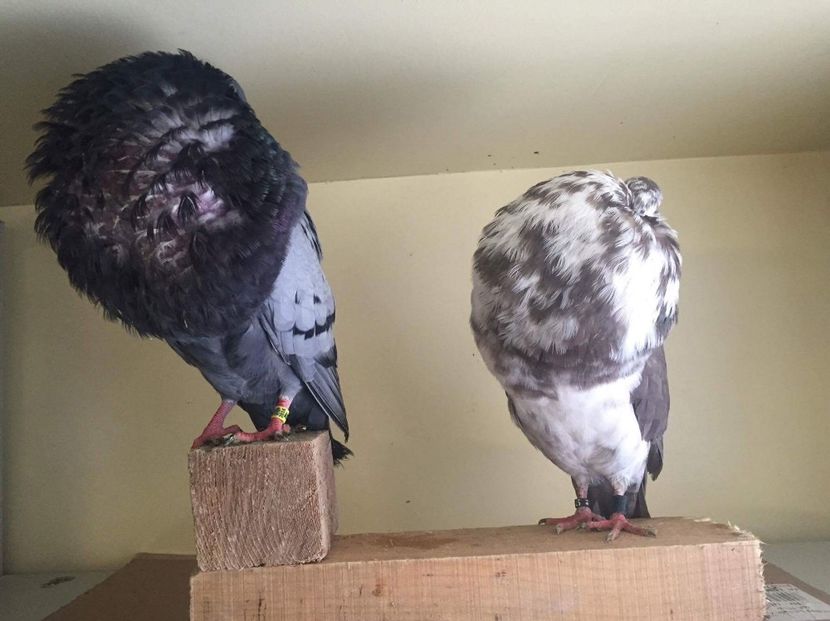 received_751378241702292