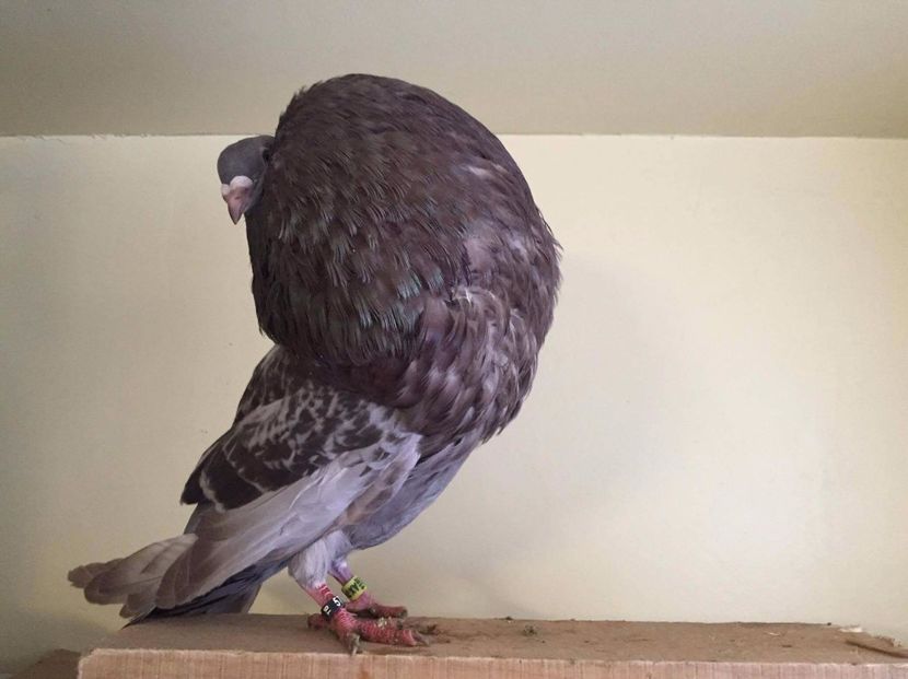 received_751378175035632