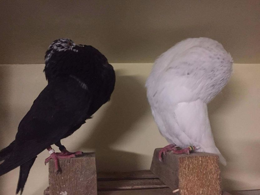 received_751378451702271