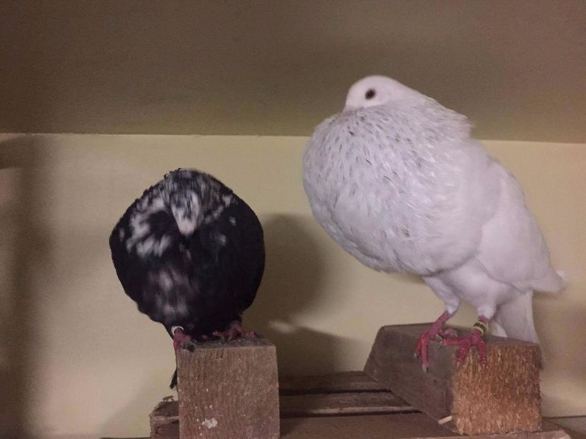 received_751378435035606