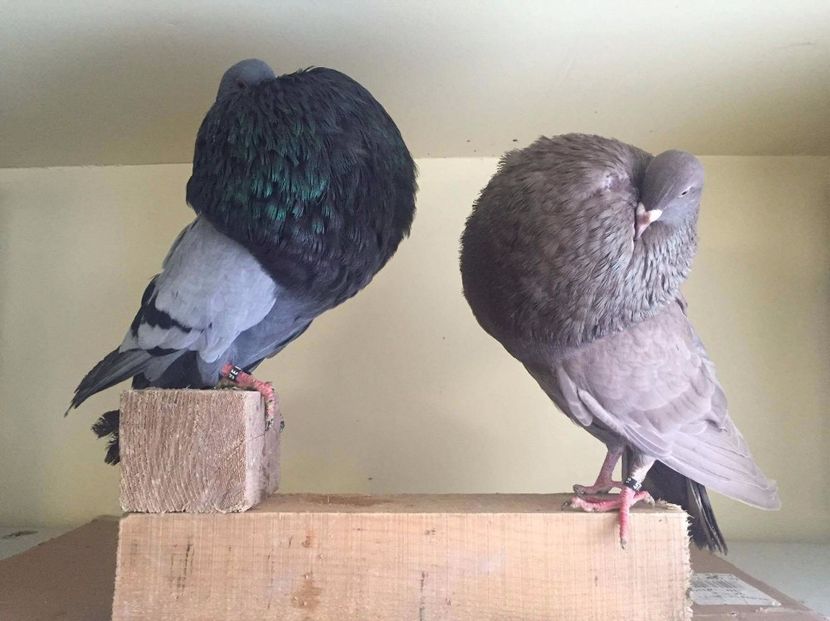 received_751378228368960